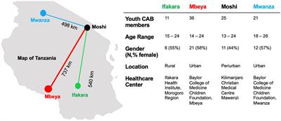 Through the looking glass: empowering youth community advisory boards in Tanzania as a sustainable youth engagement model to inform policy and practice